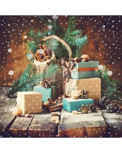 Present Tree Snow Plant Computer Printed Photography Backdrop HXB-654