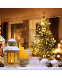 Tree Light Snow Deer Computer Printed Photography Backdrop HXB-674