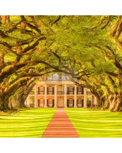 Tree Road Building Grass Computer Printed Photography Backdrop HXB-701