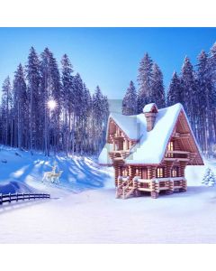 House Snow Tree Sunshine Computer Printed Photography Backdrop HXB-707