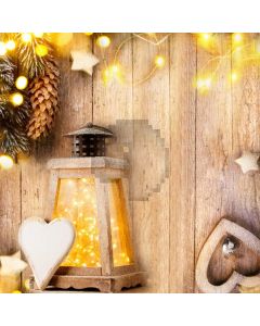 Heart Star Small Bulb Plant Computer Printed Photography Backdrop HXB-721