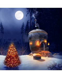 Tree Moon Snow House Light Computer Printed Photography Backdrop HXB-726
