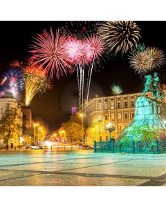 Firework Light Building Plant Computer Printed Photography Backdrop HXB-762