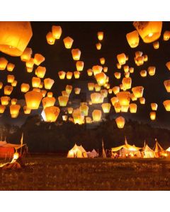 Lanterns Grass Lamp Light Computer Printed Photography Backdrop HXB-797