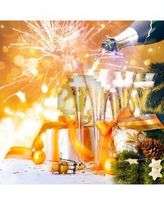 Glass Wine Light Plant Computer Printed Photography Backdrop HXB-825