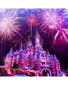 Castle Firework Dark Sky Computer Printed Photography Backdrop HXB-848