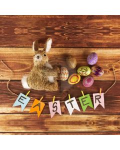 Rabbit Wood Computer Printed Photography Backdrop HXB-862