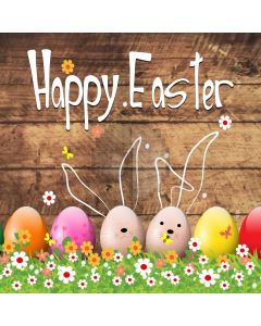 Wood Flower Egg Computer Printed Photography Backdrop HXB-863