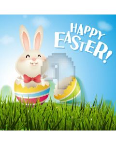 Rabbit Grass Computer Printed Photography Backdrop HXB-865