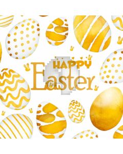 Egg Computer Printed Photography Backdrop HXB-873