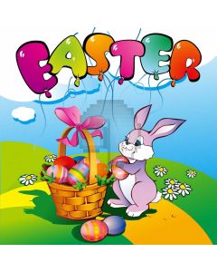 Rabbit Basket Cloud Computer Printed Photography Backdrop HXB-874