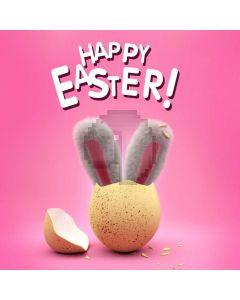 Rabbit Pink Computer Printed Photography Backdrop HXB-875