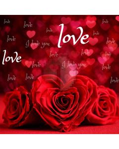 Heart Flower Computer Printed Photography Backdrop HXB-880
