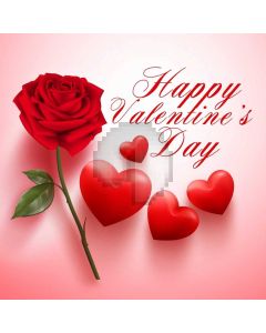 Heart Flower Computer Printed Photography Backdrop HXB-891