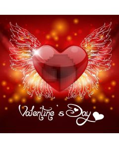 Heart Red Wing Computer Printed Photography Backdrop HXB-895