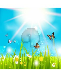 Grass Flower Sun Butterfly Computer Printed Photography Backdrop HXB-908