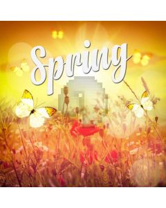 Flower Grass Sunshine Computer Printed Photography Backdrop HXB-916