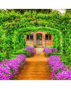 Arch Flower Plant Road Computer Printed Photography Backdrop HXB-922