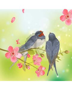 Flower Bird Computer Printed Photography Backdrop HXB-925