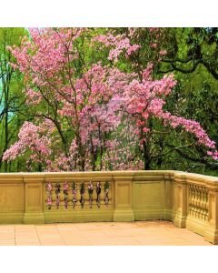 Flower Tree Balcony Computer Printed Photography Backdrop HXB-926