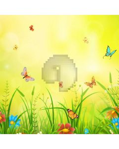 Butterfly Sunshine Grass Computer Printed Photography Backdrop HXB-928