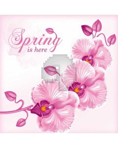Flower Pink Computer Printed Photography Backdrop HXB-930