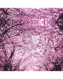 Flower Computer Printed Photography Backdrop HXB-931