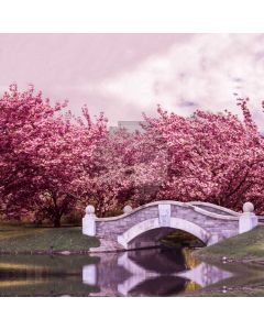 Flower Arch Bridge River Computer Printed Photography Backdrop HXB-934