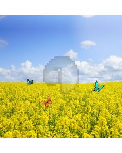 Flower Butterfly Cloud Computer Printed Photography Backdrop HXB-937
