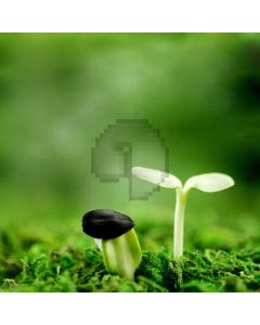 Green Sprout Computer Printed Photography Backdrop HXB-938