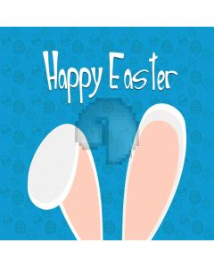 Rabbit's Ear Computer Printed Photography Backdrop HXB-941