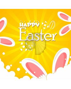 Rabbit's Ear Sunshine Computer Printed Photography Backdrop HXB-944