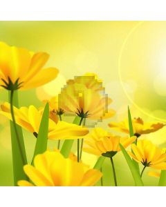 Flower Sunshine Computer Printed Photography Backdrop HXB-955