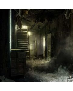Stair Wood Foggy Light Computer Printed Photography Backdrop HXB-989
