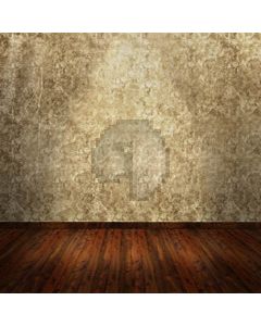 Empty old wall Computer Printed Photography Backdrop HY-C-1692