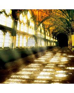 Indoor gallery building Computer Printed Photography Backdrop HY-C-2337