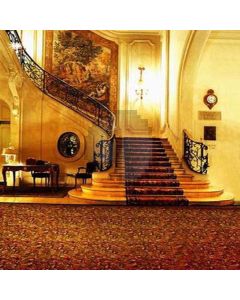 Indoor stairs architectural Computer Printed Photography Backdrop HY-C-2339