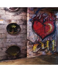 The graffiti on the brick wall Computer Printed Photography Backdrop HY-C-2591