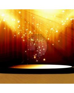 Stage and bright light Computer Printed Photography Backdrop HY-C-2609