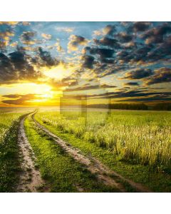 Pathway In Field Computer Printed Photography Backdrop HY-CM-0097