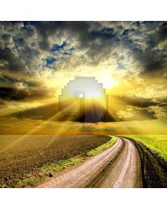 Pathway In Field Computer Printed Photography Backdrop HY-CM-0119