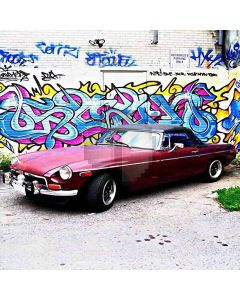 Car Graffiti  Computer Printed Photography Backdrop HY-CM-1474