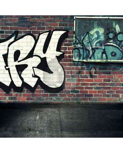 Doodled Brick Wall Computer Printed Photography Backdrop HY-CM-1722