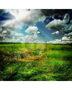 Green Meadow Under The Sky Computer Printed Photography Backdrop HY-CM-1927