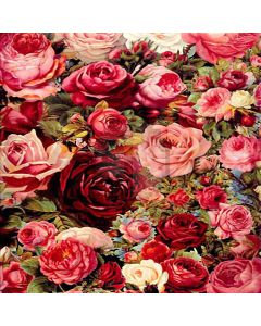 Roses Computer Printed Photography Backdrop HY-CM-2249