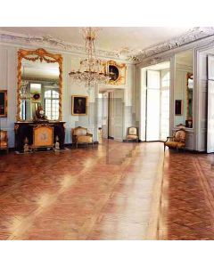 Elegant Hall With Chandelier Computer Printed Photography Backdrop HY-CM-2643