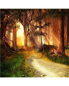 Path In Woods Computer Printed Photography Backdrop HY-CM-3233