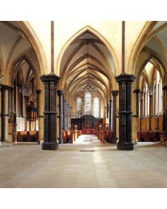 Arch Gates In Church Computer Printed Photography Backdrop HY-CM-3329