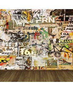 Doodle Painted Wall Computer Printed Photography Backdrop HY-CM-3362