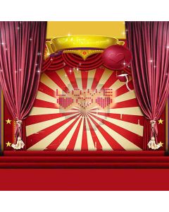 Stage For Valentine Computer Printed Photography Backdrop HY-CM-3569